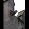 Carcassonne - Eglise Saint Vincent - Gargouille, Oiseau (1)